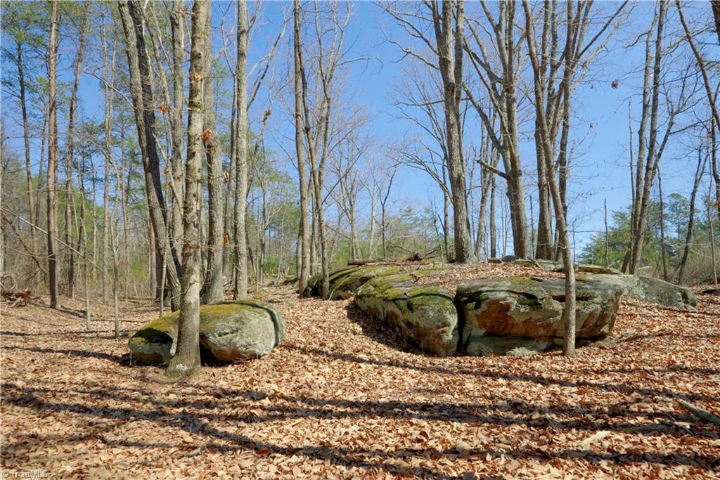 0 Flat Rock Road Pinnacle, NC 27043 - Photo 18 of 32
