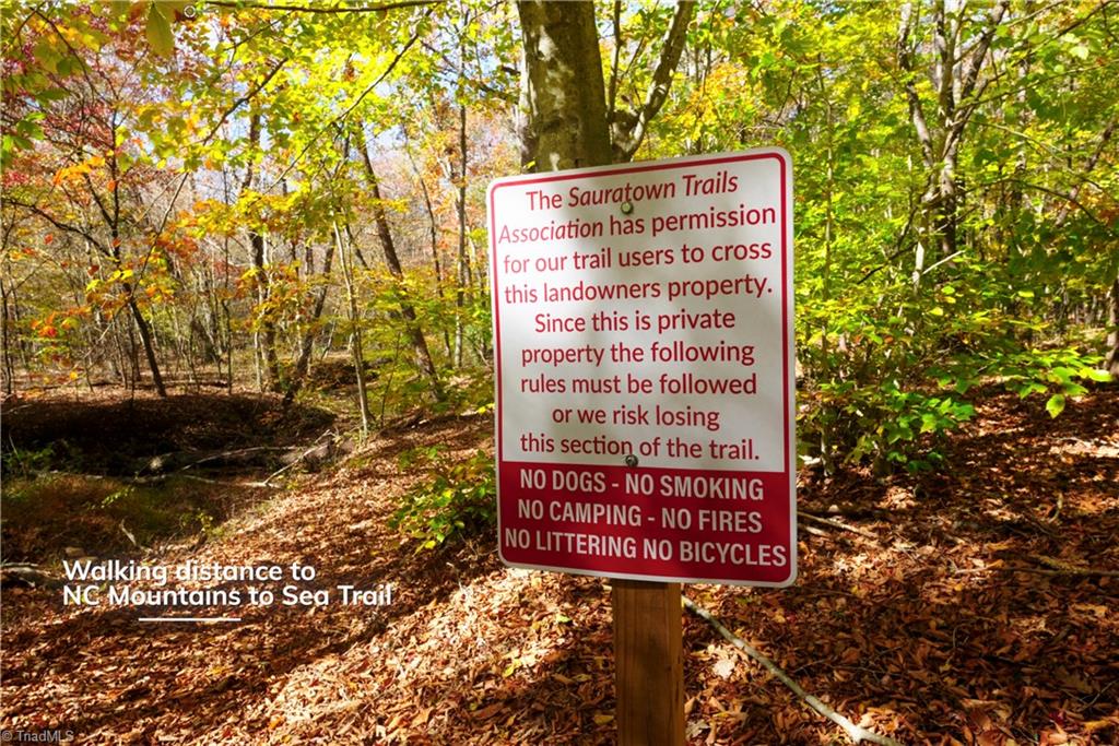 0 Flat Rock Road Pinnacle, NC 27043 - Photo 20 of 32