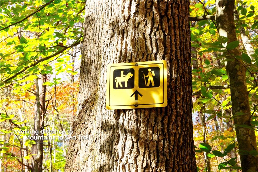 1-2 Flat Rock Road Pinnacle, NC 27043 - Photo 20 of 28