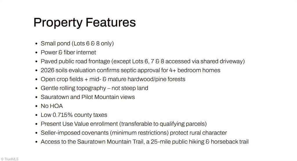 1-2 Flat Rock Road Pinnacle, NC 27043 - Photo 25 of 28