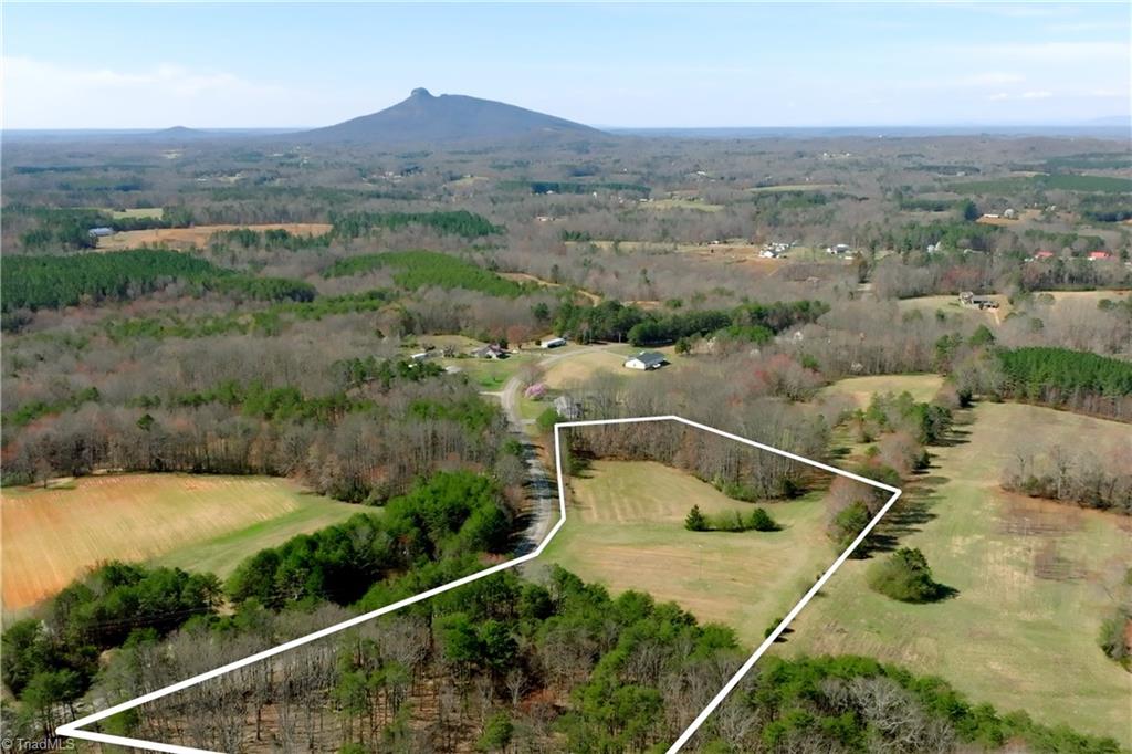 0 Flat Rock Road Pinnacle, NC 27043 - Photo 3 of 32