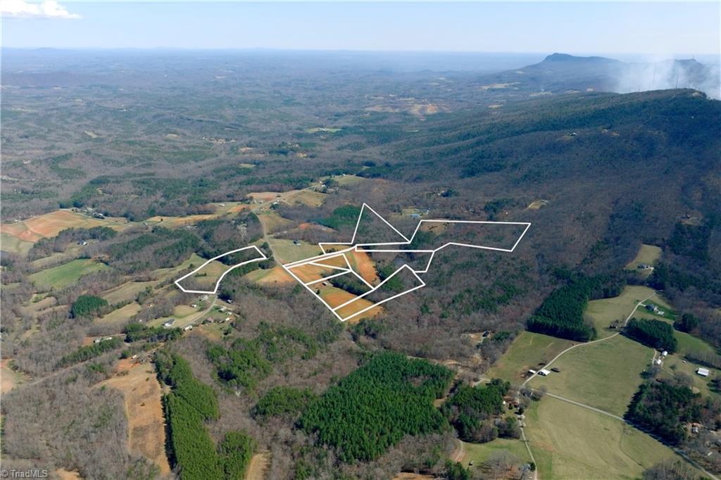 0 Flat Rock Road Pinnacle, NC 27043 - Photo 31 of 32