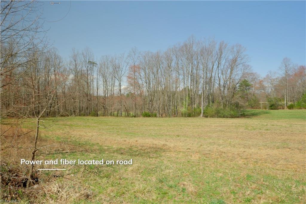 0 Flat Rock Road Pinnacle, NC 27043 - Photo 9 of 32