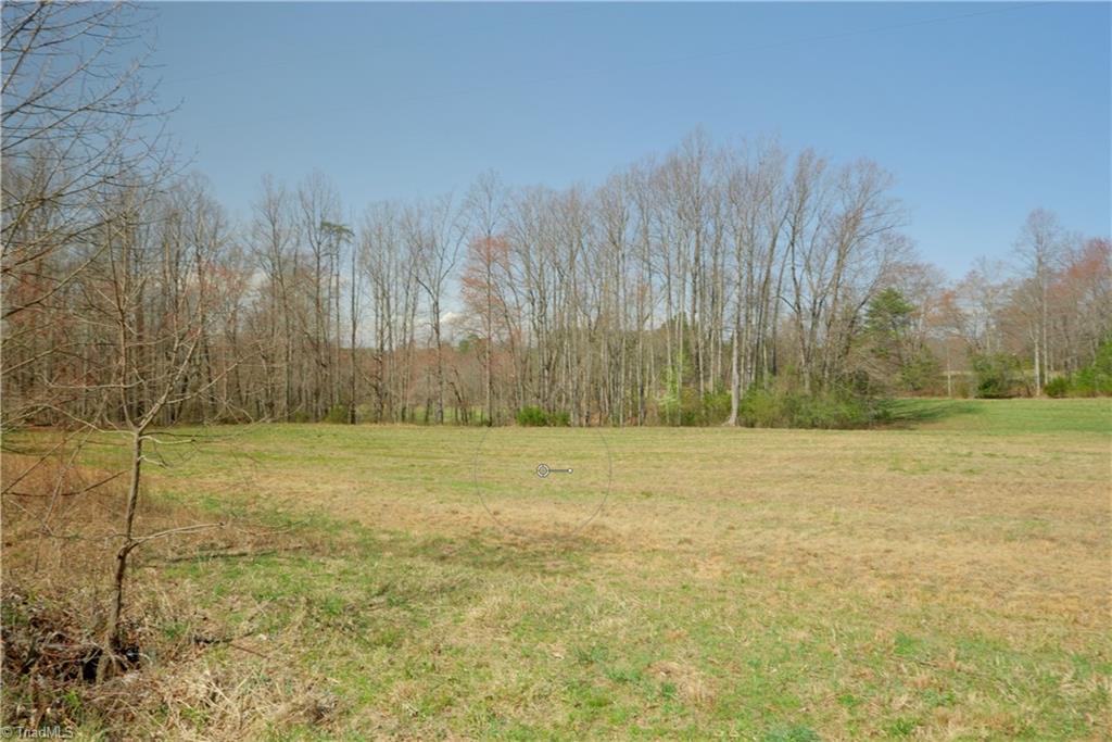 0 Flat Rock Road Pinnacle, NC 27043 - Photo 10 of 32