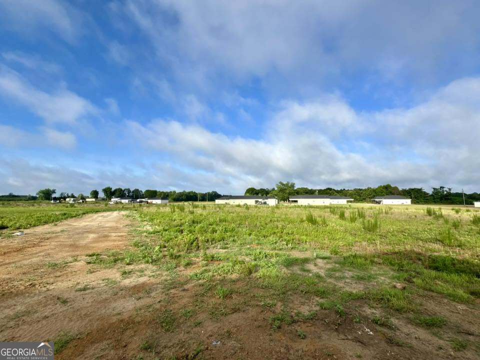 1247 Mark Wood Road Dexter, GA 31019 - Photo 26 of 26