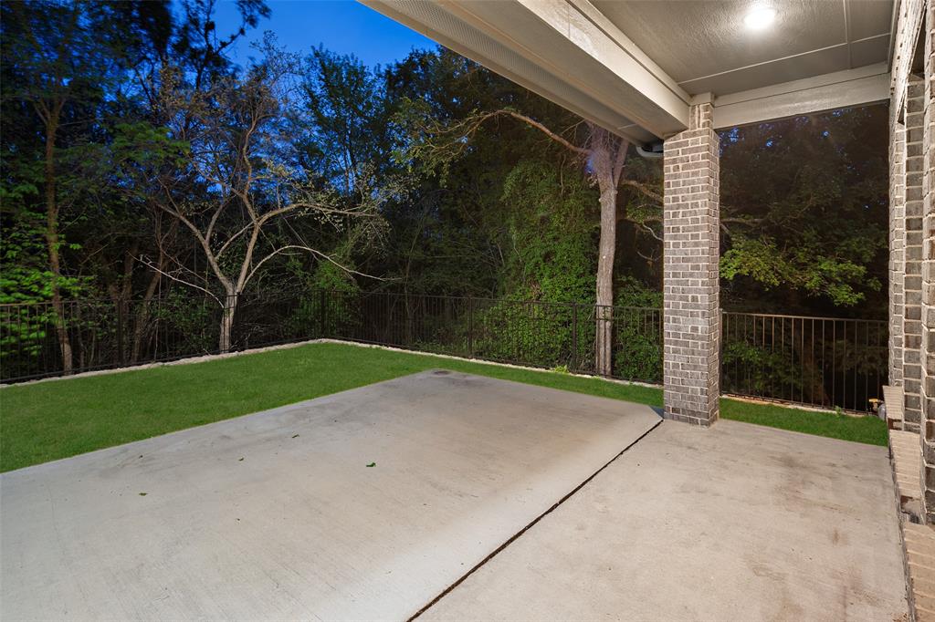 1412 Bear Path Way Gunter, TX 75058 - Photo 24 of 37 a view of backyard and tree
