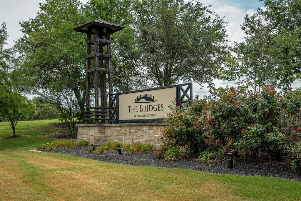 1412 Bear Path Way Gunter, TX 75058 - Photo 33 of 37 a view of a street with potted plants and large trees