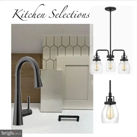 a kitchen with a sink and a potted plant