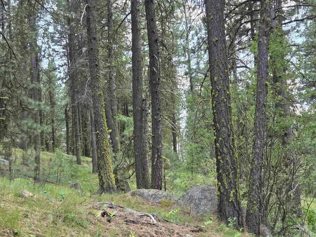 $225,000 | 110 Lantern Way, Cascade, ID 83611