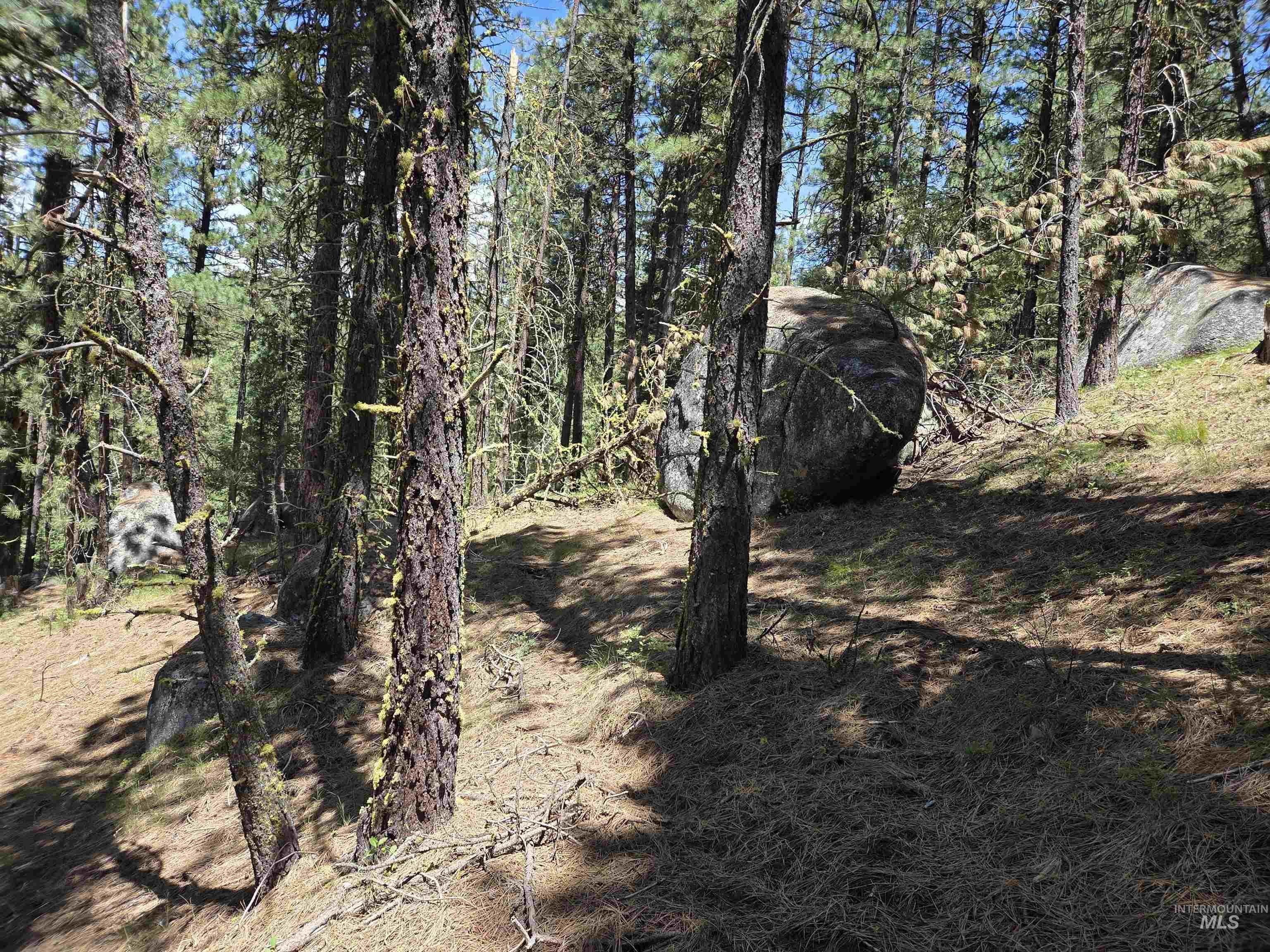 110 Lantern Way Cascade, ID 83611 - Photo 13 of 32 View of undeveloped land