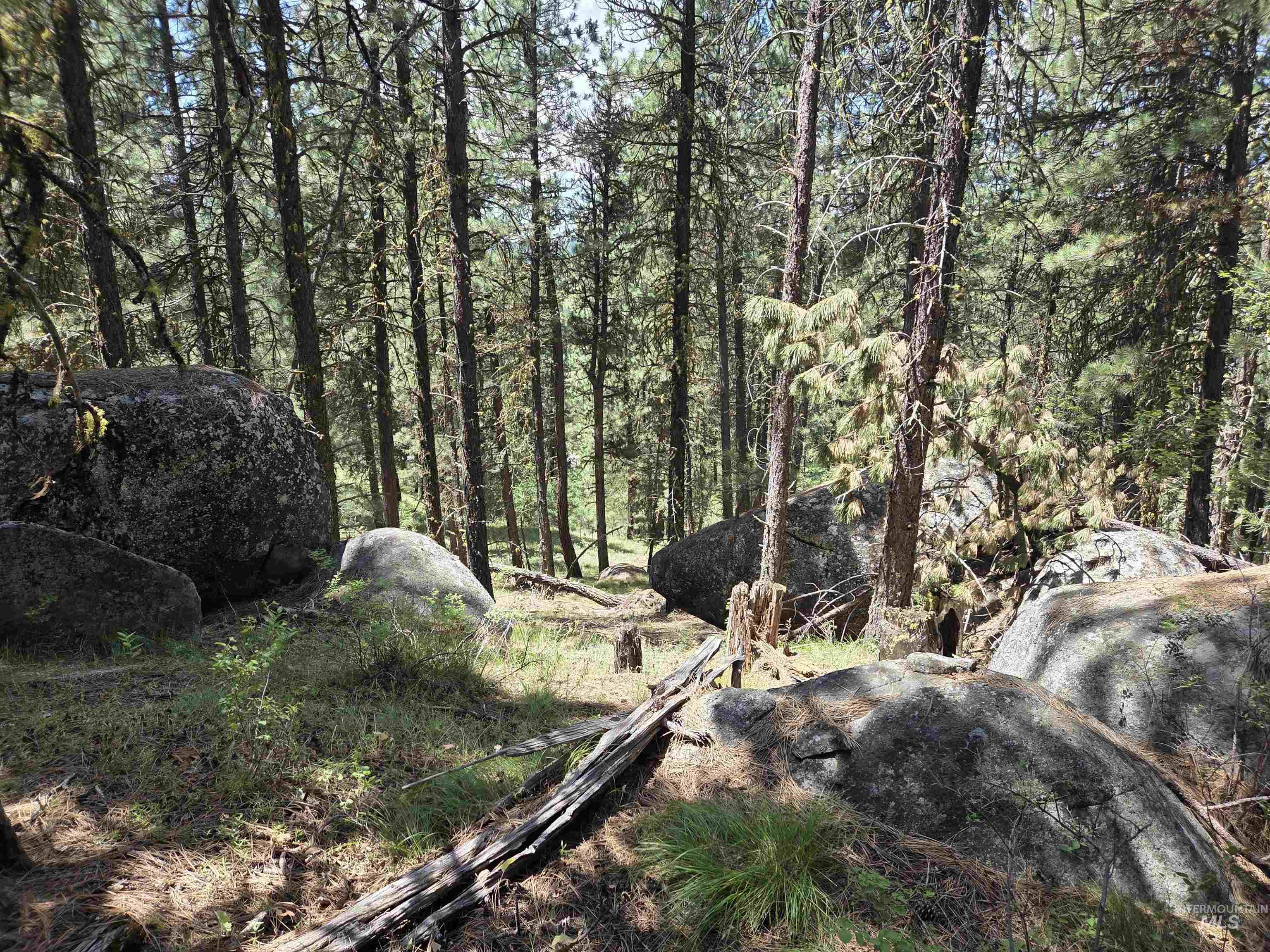 110 Lantern Way Cascade, ID 83611 - Photo 14 of 32 View of woods