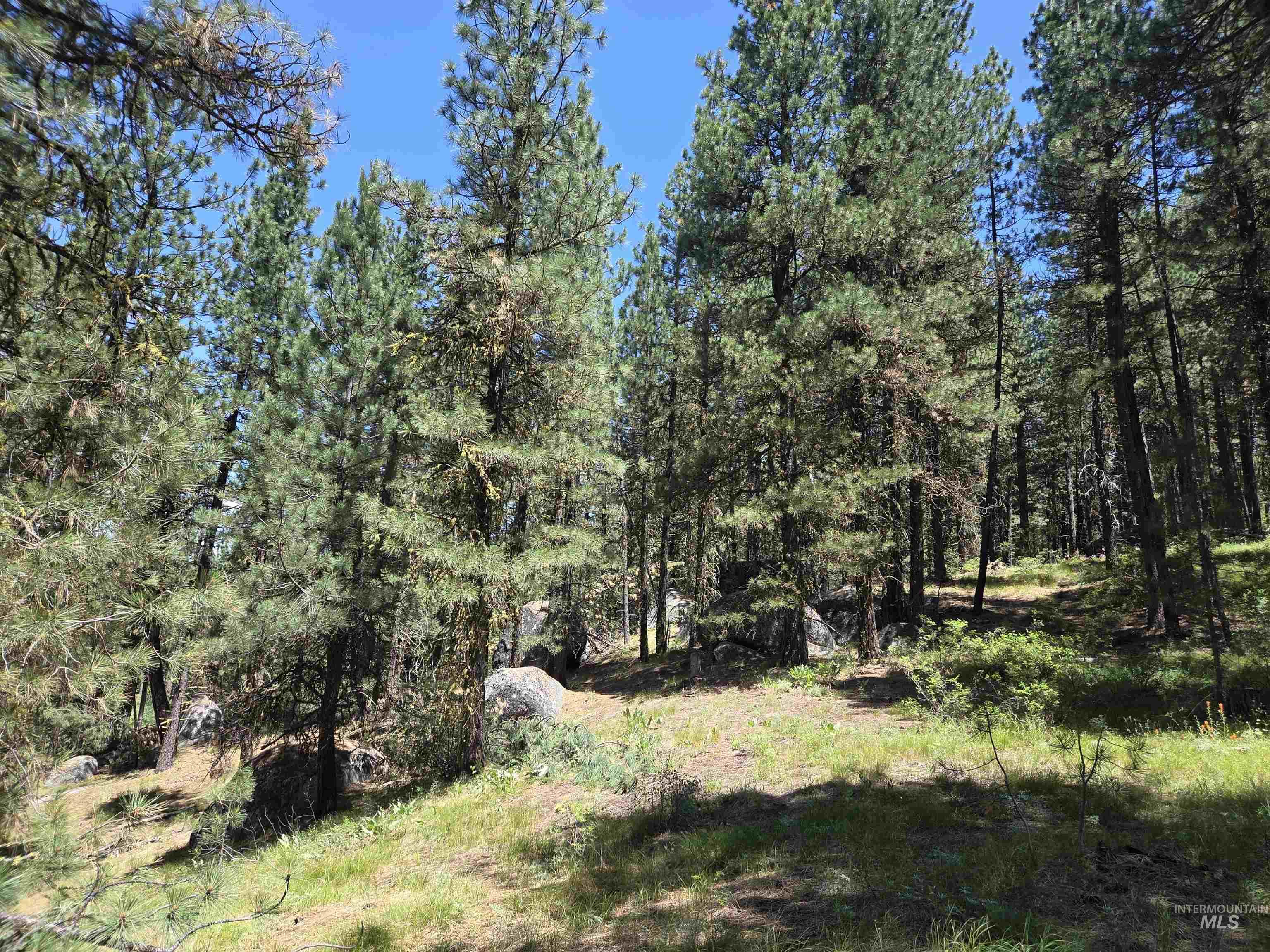 110 Lantern Way Cascade, ID 83611 - Photo 16 of 32 View of tree filled area