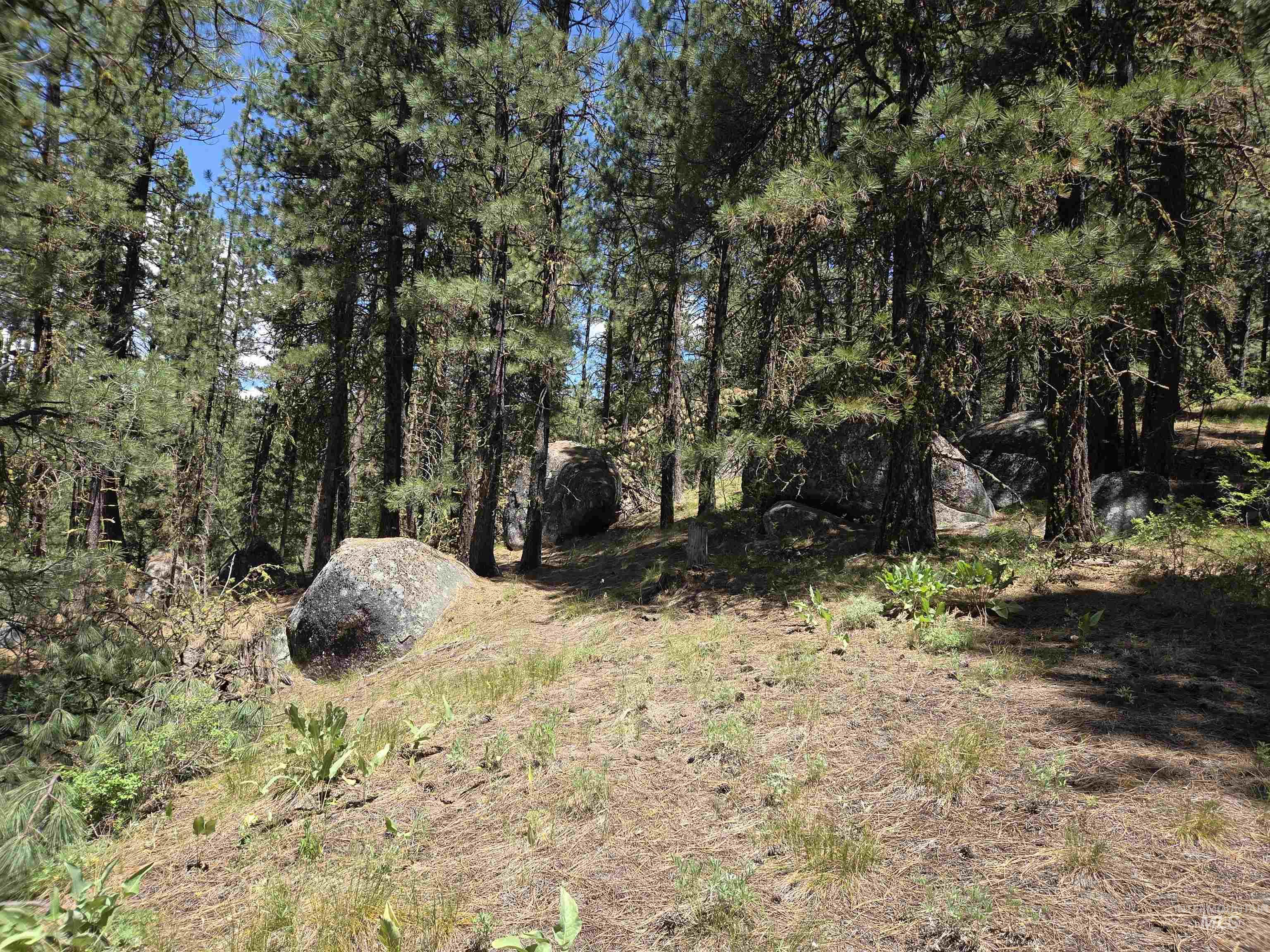 110 Lantern Way Cascade, ID 83611 - Photo 2 of 32 View of undeveloped land