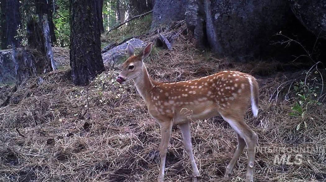 110 Lantern Way Cascade, ID 83611 - Photo 23 of 32 Exterior view