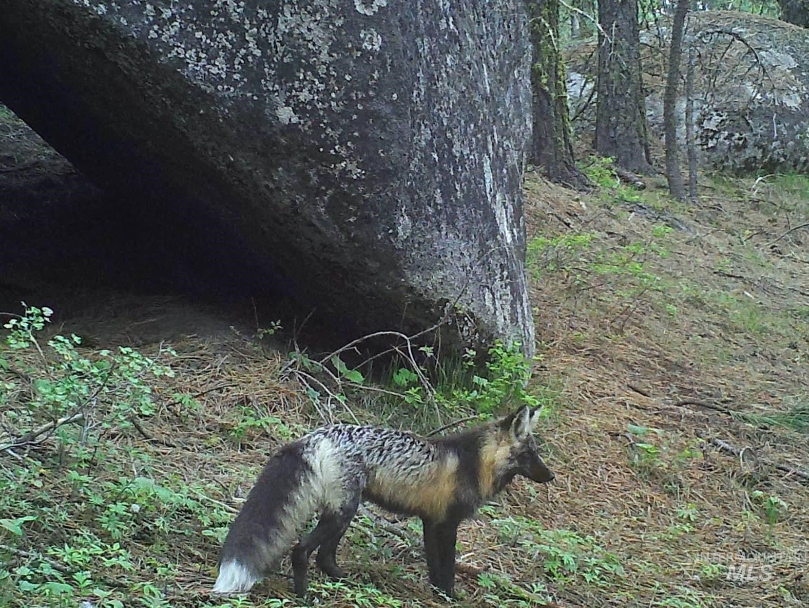 110 Lantern Way Cascade, ID 83611 - Photo 24 of 32 Exterior view