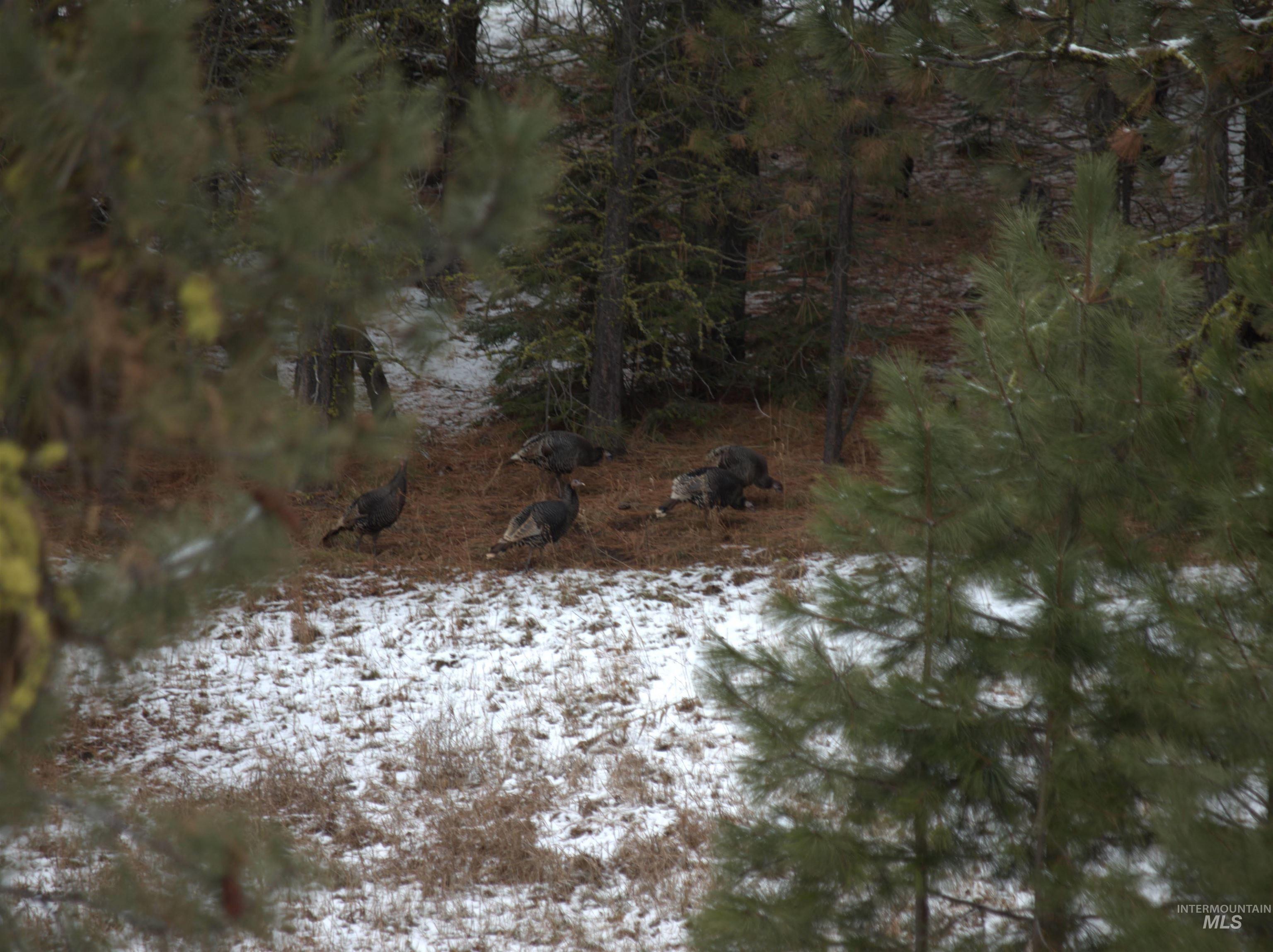 110 Lantern Way Cascade, ID 83611 - Photo 28 of 32 Snowy landscape