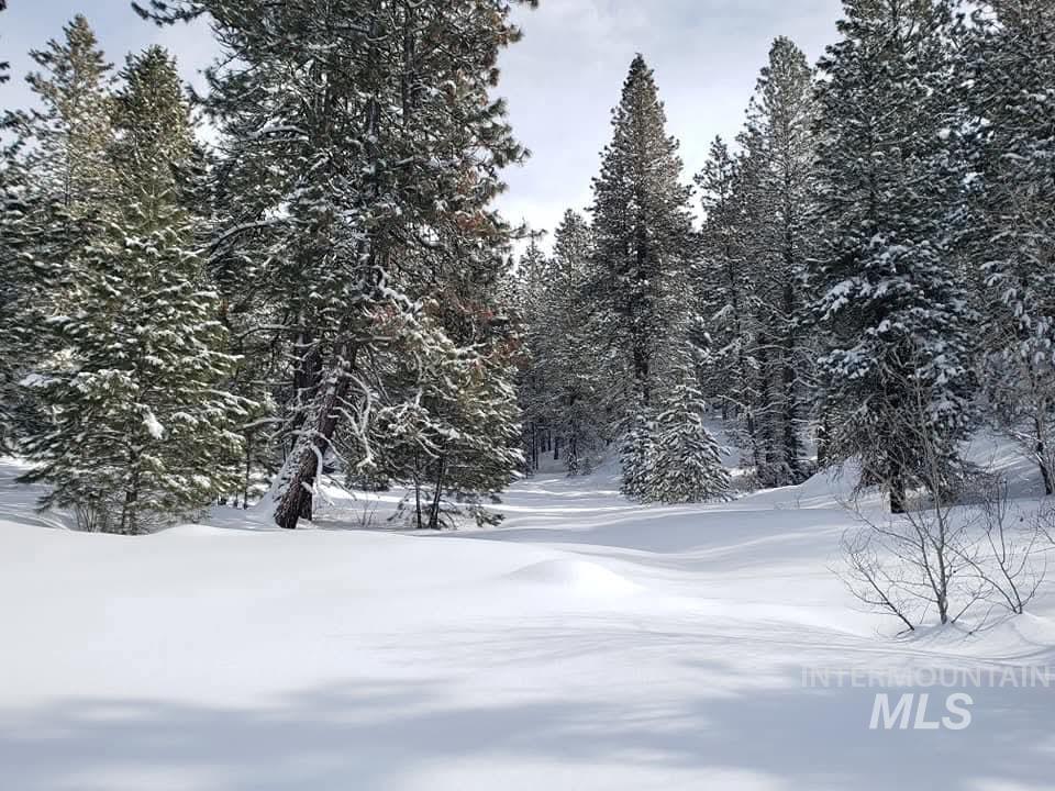 110 Lantern Way Cascade, ID 83611 - Photo 30 of 32 View of yard covered in snow