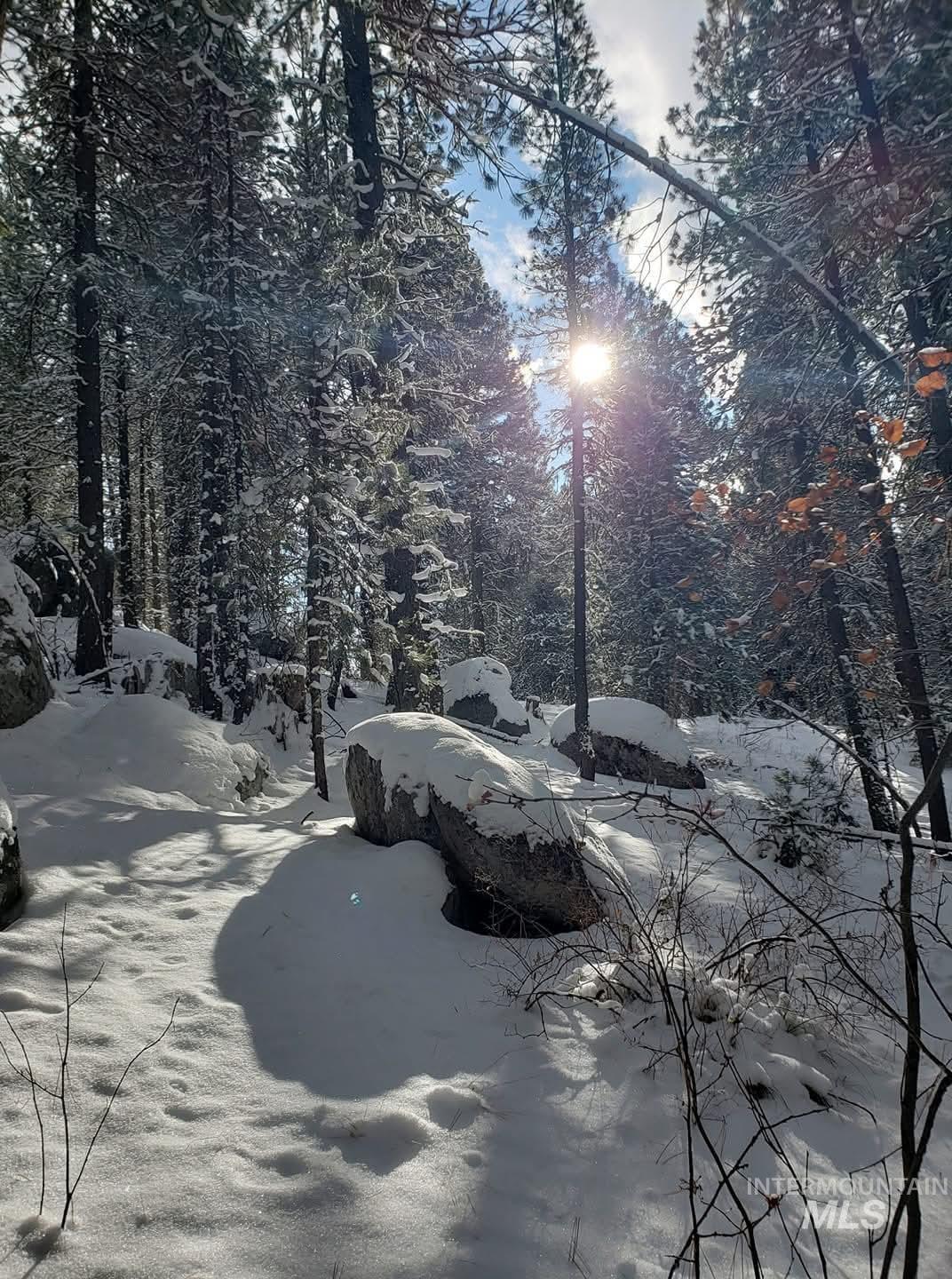 110 Lantern Way Cascade, ID 83611 - Photo 31 of 32 View of street