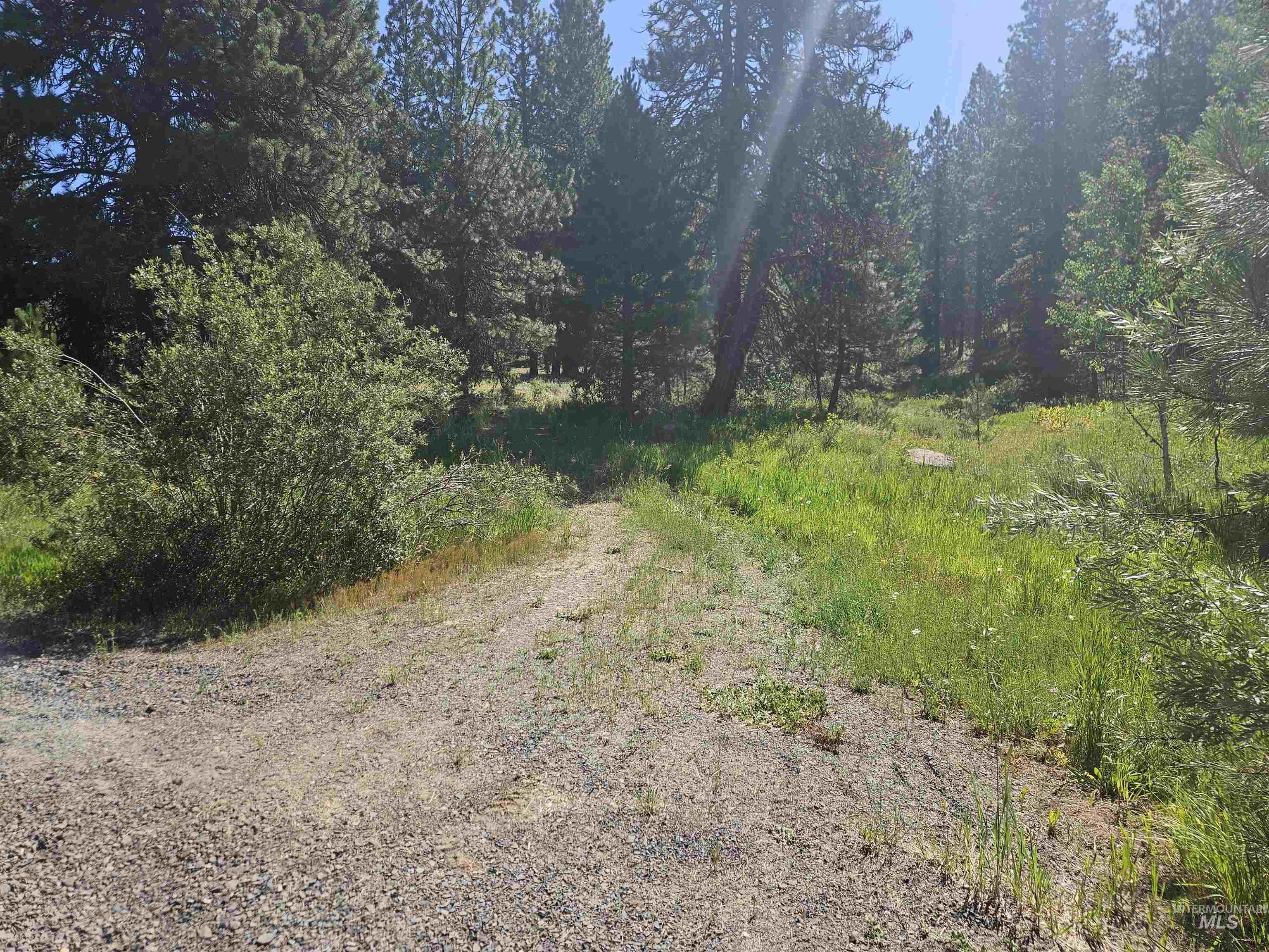 110 Lantern Way Cascade, ID 83611 - Photo 8 of 32 View of road featuring a wooded view