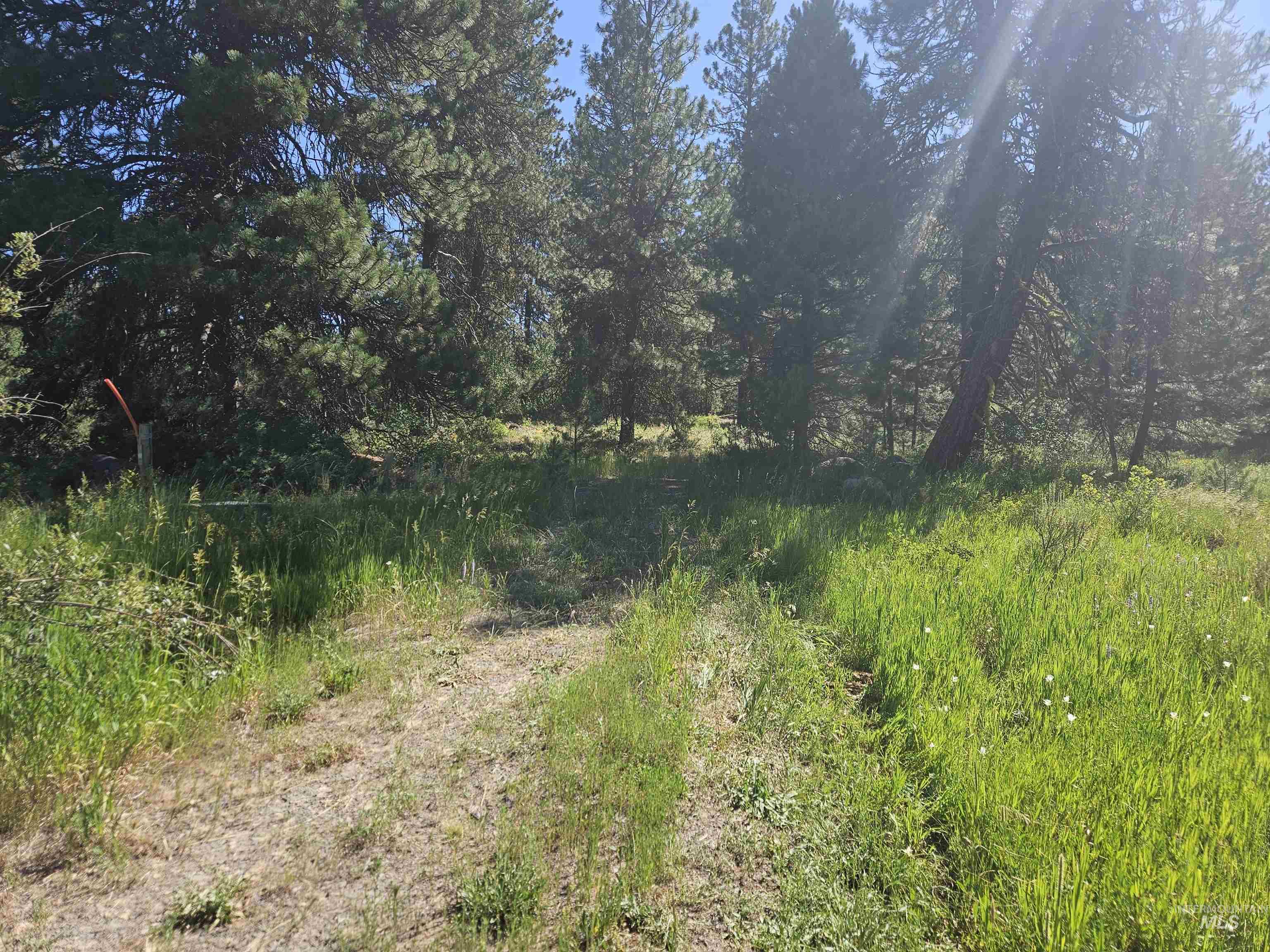 110 Lantern Way Cascade, ID 83611 - Photo 9 of 32 View of local wilderness