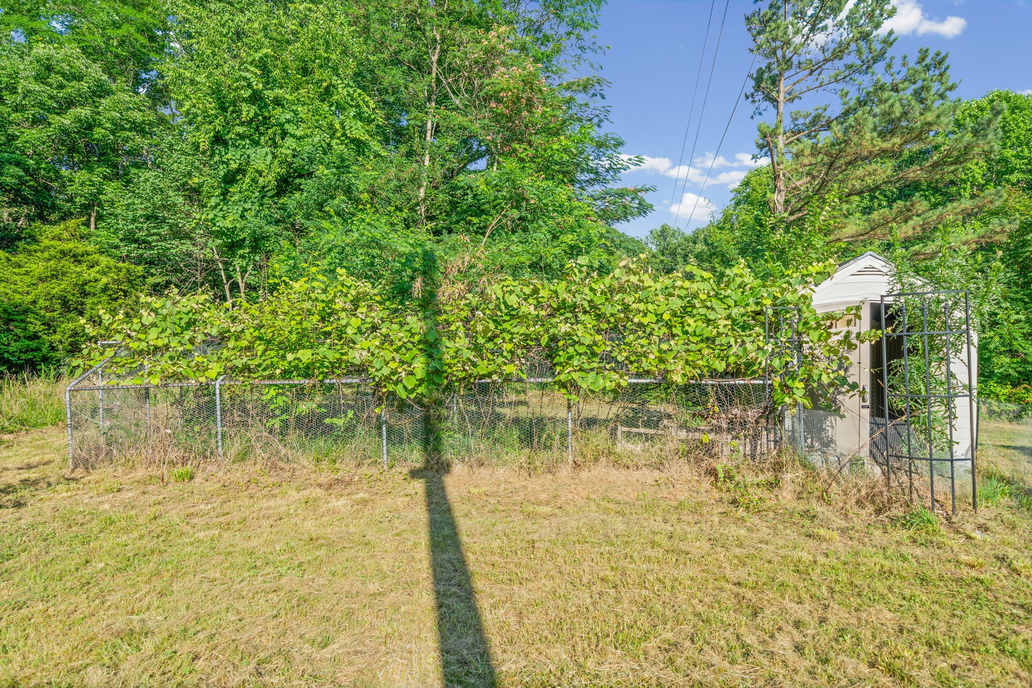 6190 Latham Road Hopkinsville, KY 42240 - Photo 31 of 34