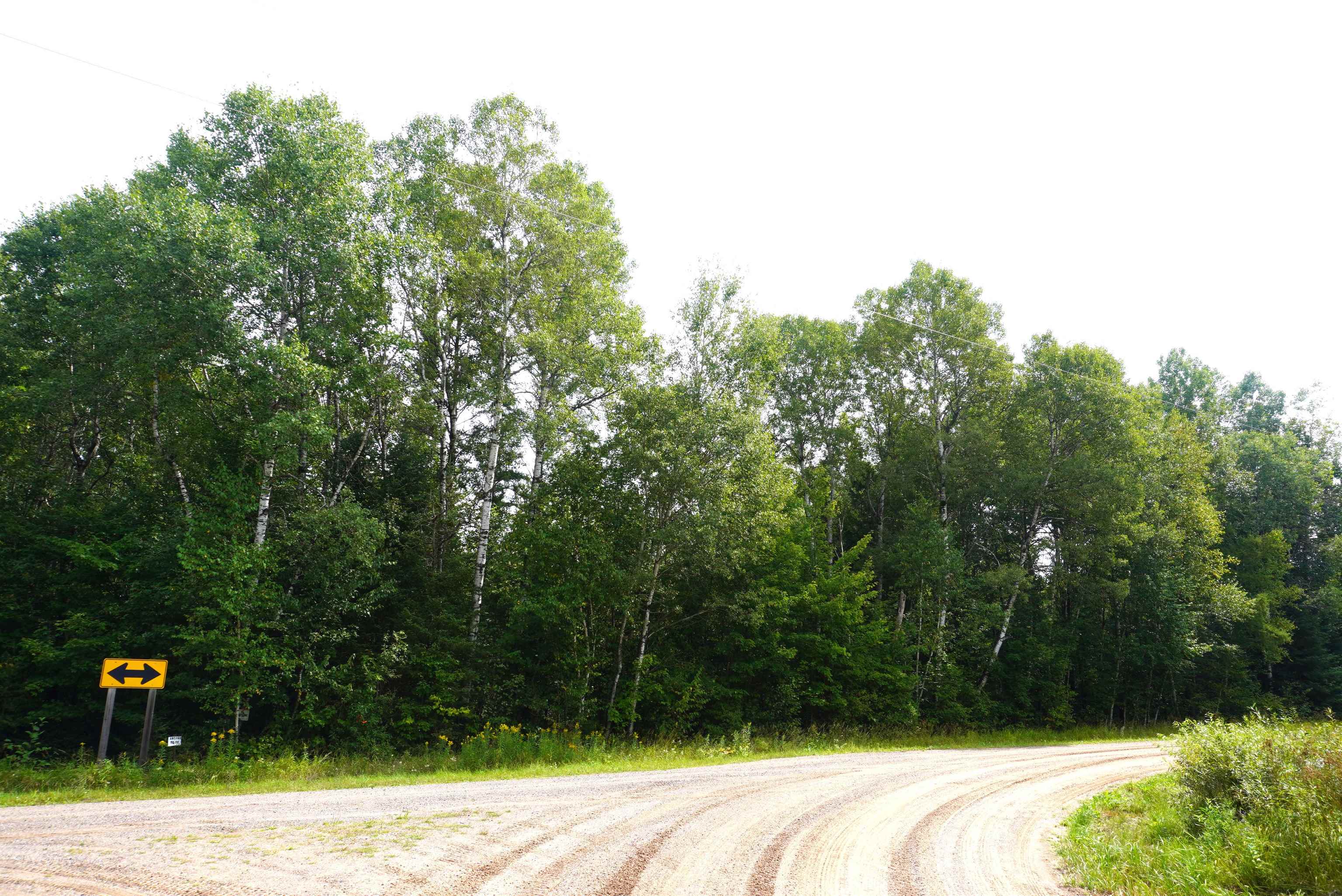 N-20-acres Rangeline Road Deerbrook, WI 54424 - Photo 2 of 3 Gallery Image 2