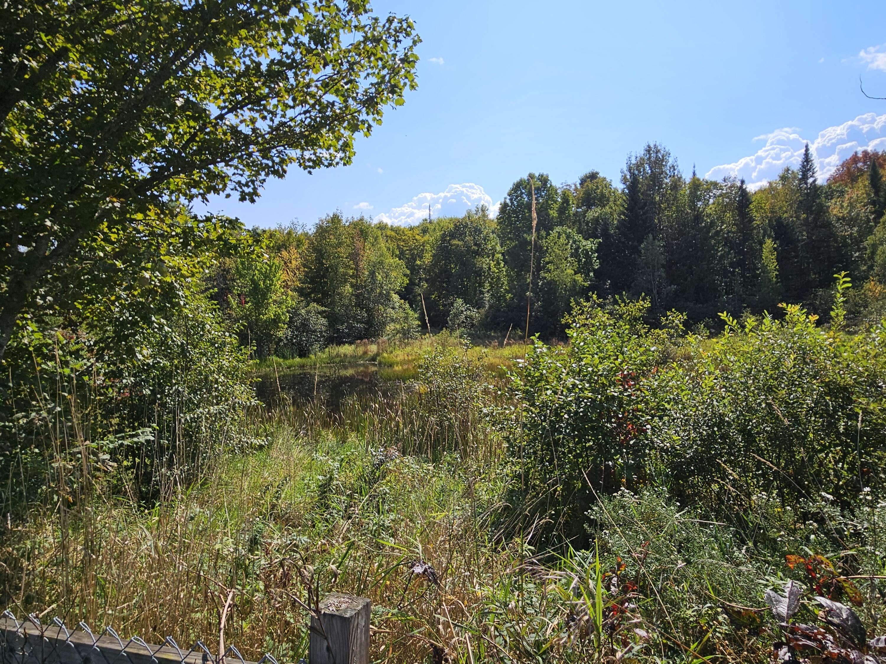 572 Temple Road Farmington, ME 04938 - Photo 85 of 107 20240913_134720