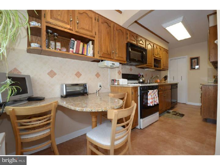 251 Trent Road Wynnewood, PA 19096 - Photo 6 of 17 Kitchen
