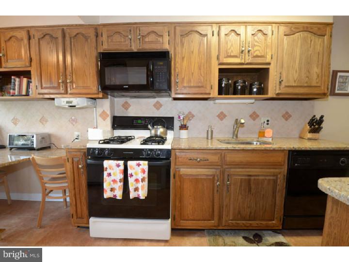 251 Trent Road Wynnewood, PA 19096 - Photo 7 of 17 Kitchen