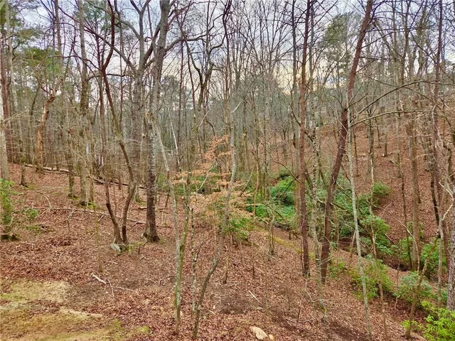 a view of a yard with large trees