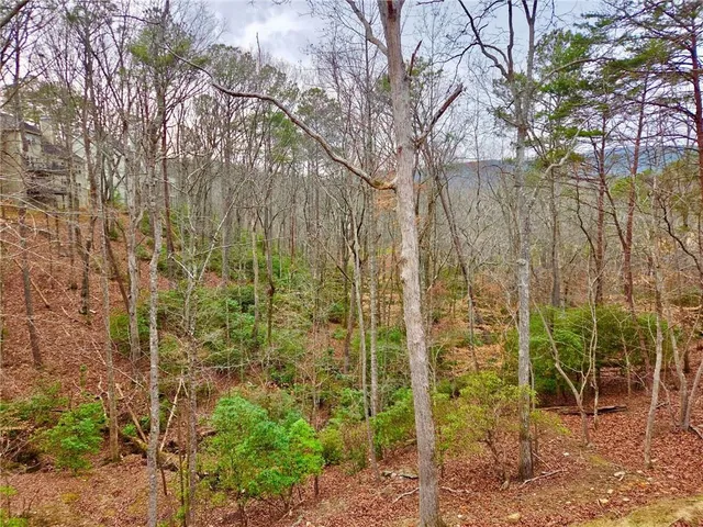 a backyard of a house with lots of plants and large trees