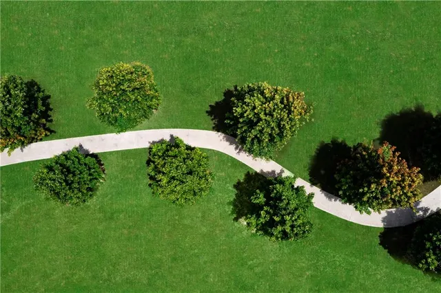 a view of a garden with a flower in a garden