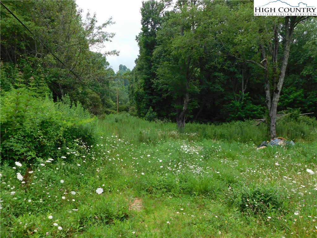 1065 Buckhill Road Newland, NC 28657 - Photo 1 of 10 Gallery Image 1