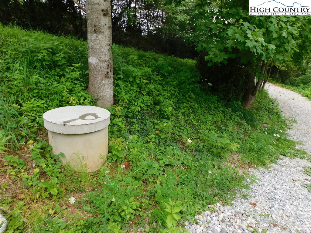 1065 Buckhill Road Newland, NC 28657 - Photo 2 of 10 Gallery Image 2