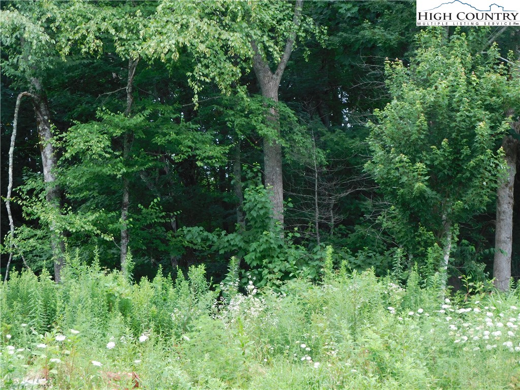 1065 Buckhill Road Newland, NC 28657 - Photo 3 of 10 Gallery Image 3