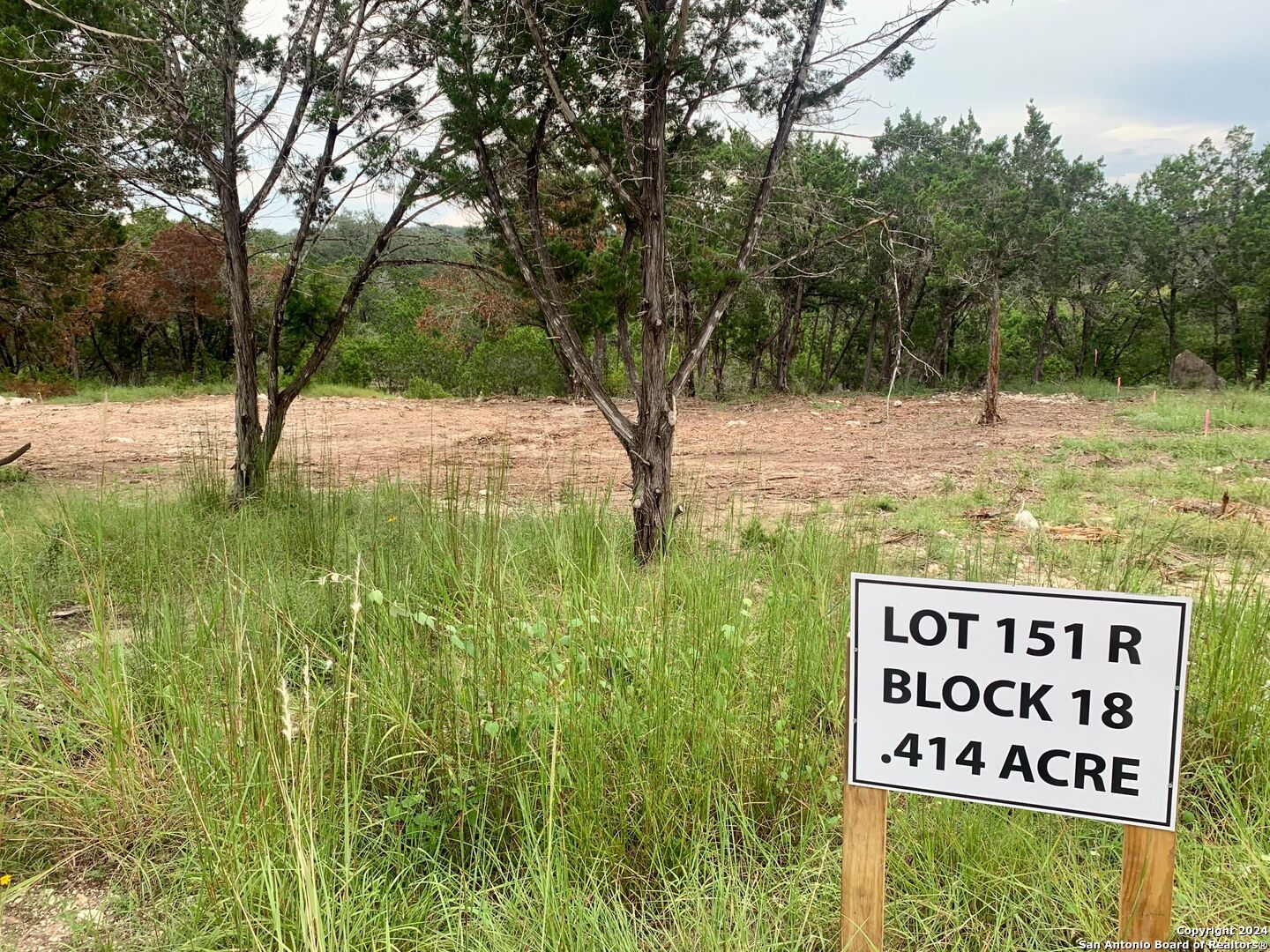 807 Stagecoach Spring Branch, TX 78070 - Photo 14 of 29