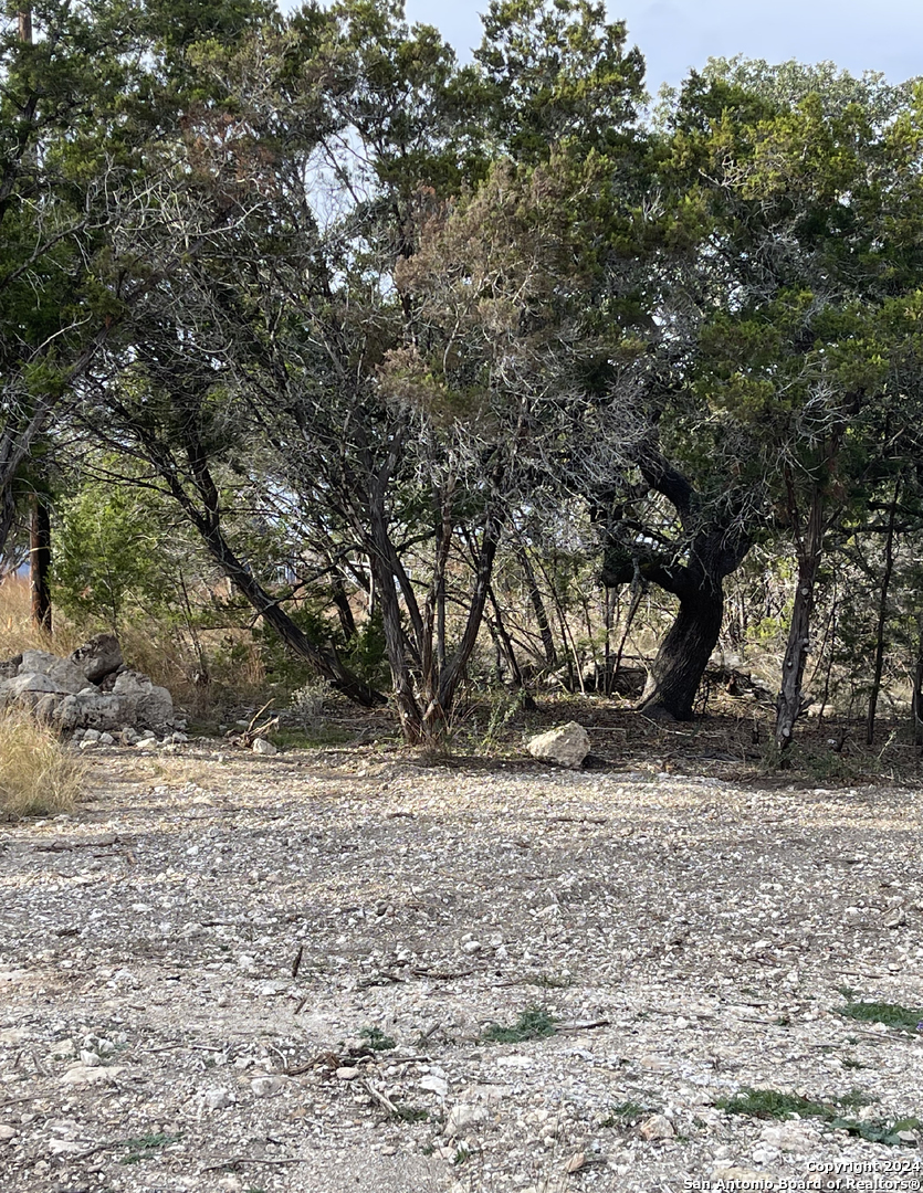 807 Stagecoach Spring Branch, TX 78070 - Photo 22 of 29