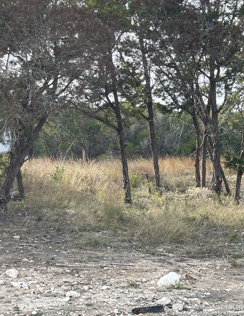 807 Stagecoach Spring Branch, TX 78070 - Photo 23 of 29