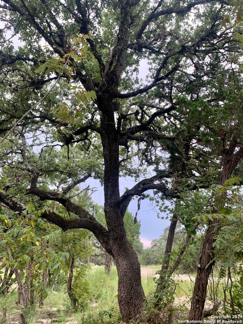 807 Stagecoach Spring Branch, TX 78070 - Photo 9 of 29