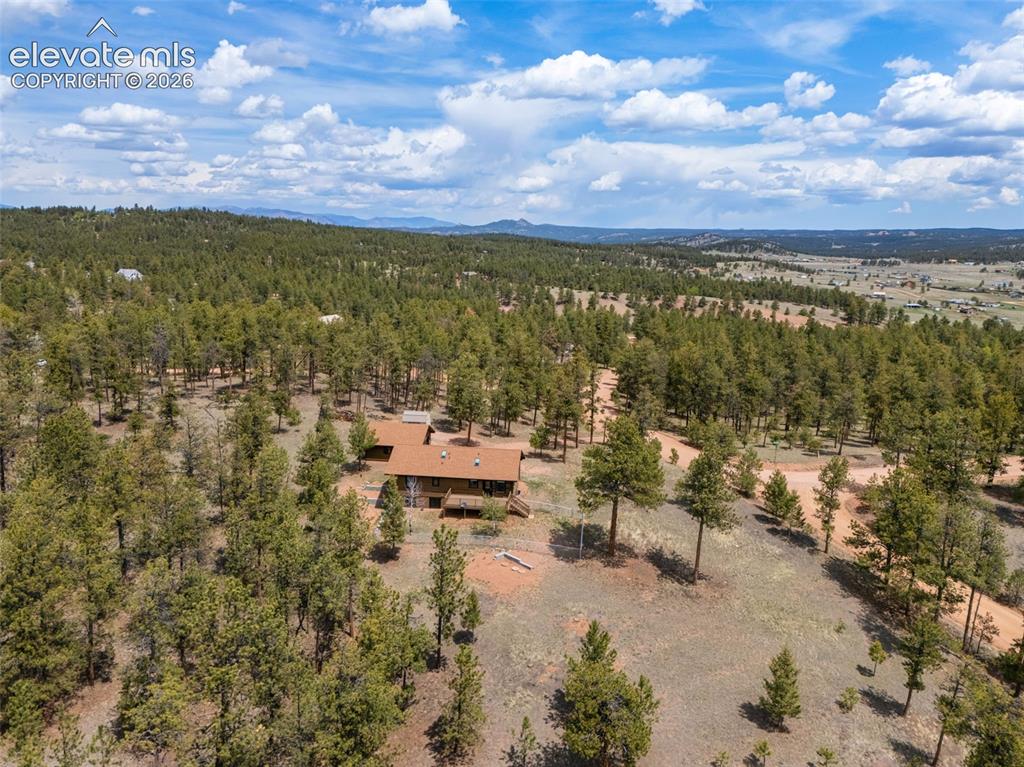 187 Thunder Ridge Road Florissant, CO 80816 - Photo 44 of 46
