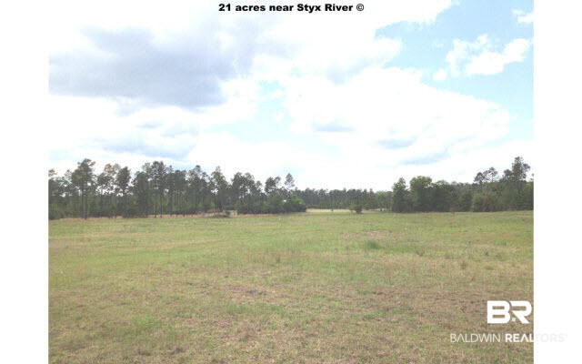 25885 Goat Cooper Road Robertsdale, AL 36567 - Photo 8 of 44