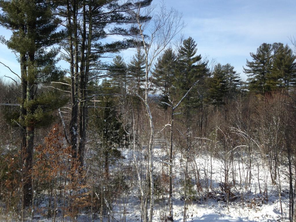 Lot 9 Hilbren Road Weare, NH 03281 - Photo 4 of 11
