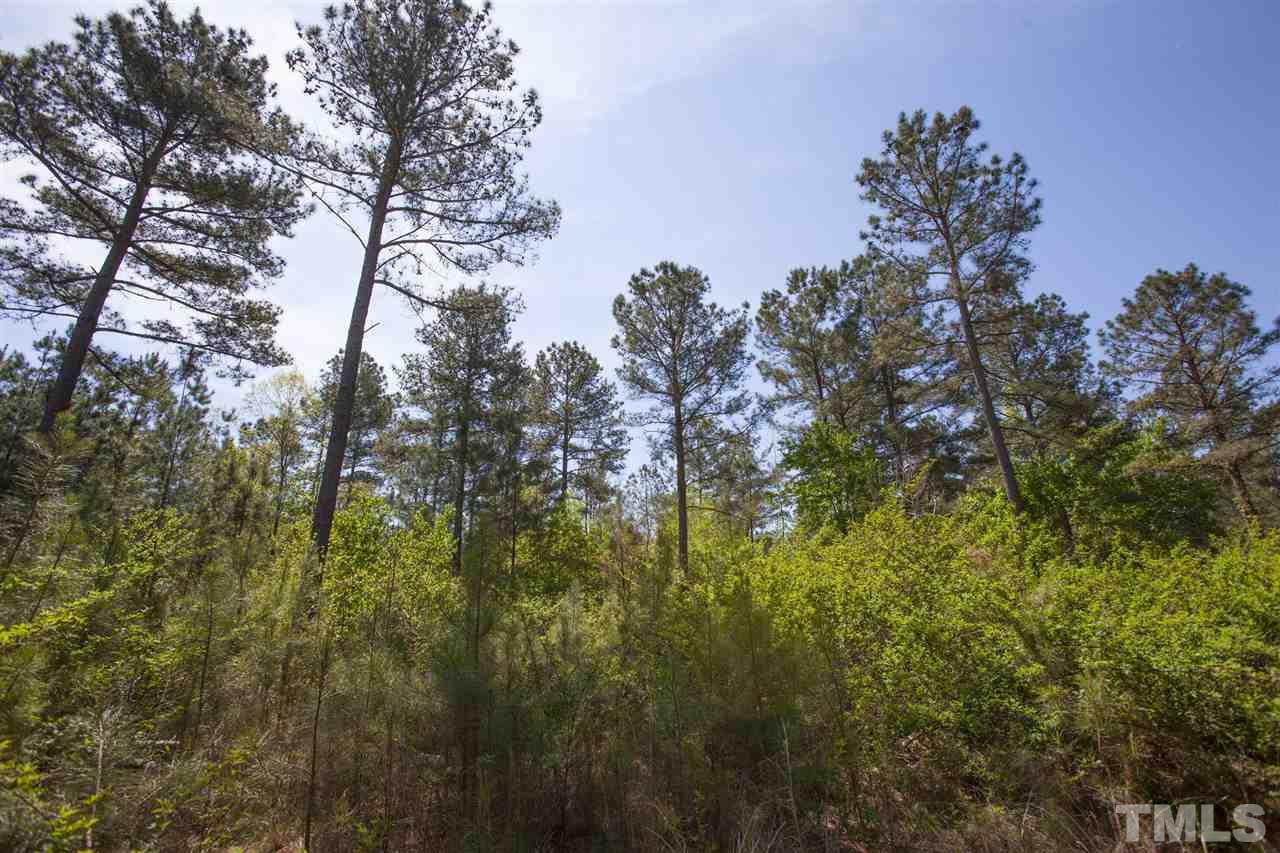 0 Center Grove Church Road Moncure, NC 27559 - Photo 11 of 18 Gallery Image 11