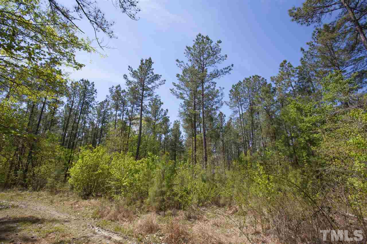 0 Center Grove Church Road Moncure, NC 27559 - Photo 12 of 18 Gallery Image 12