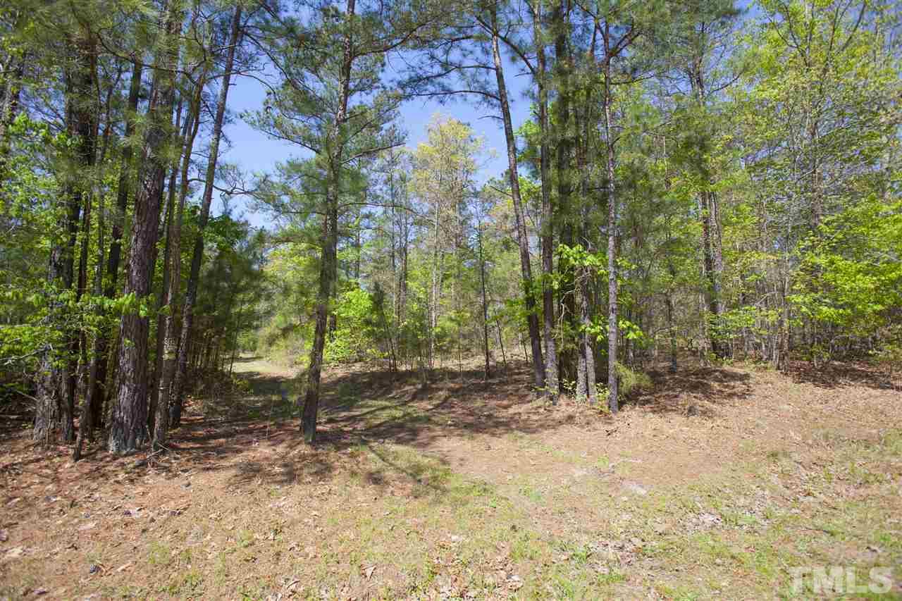 0 Center Grove Church Road Moncure, NC 27559 - Photo 15 of 18 Gallery Image 15