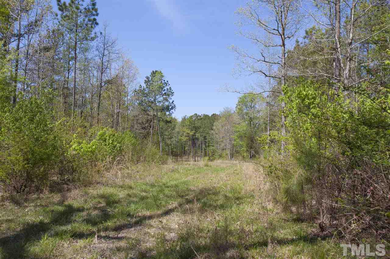 0 Center Grove Church Road Moncure, NC 27559 - Photo 3 of 18 Gallery Image 3