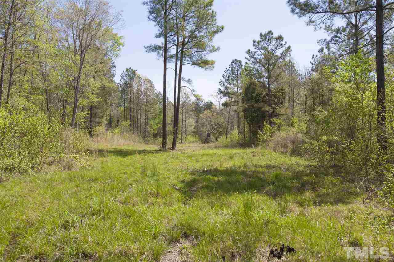 0 Center Grove Church Road Moncure, NC 27559 - Photo 6 of 18 Gallery Image 6