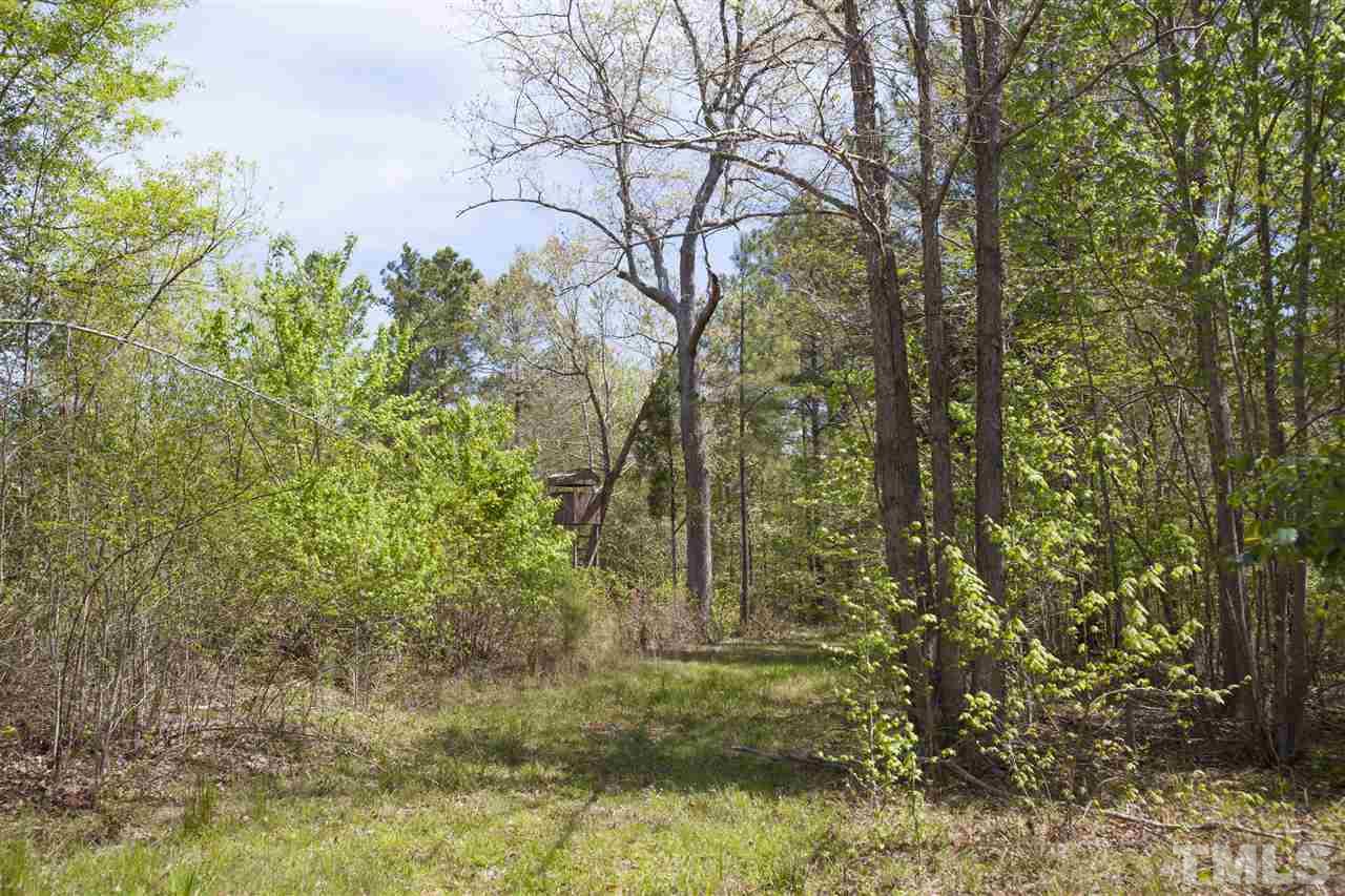 0 Center Grove Church Road Moncure, NC 27559 - Photo 8 of 18 Gallery Image 8