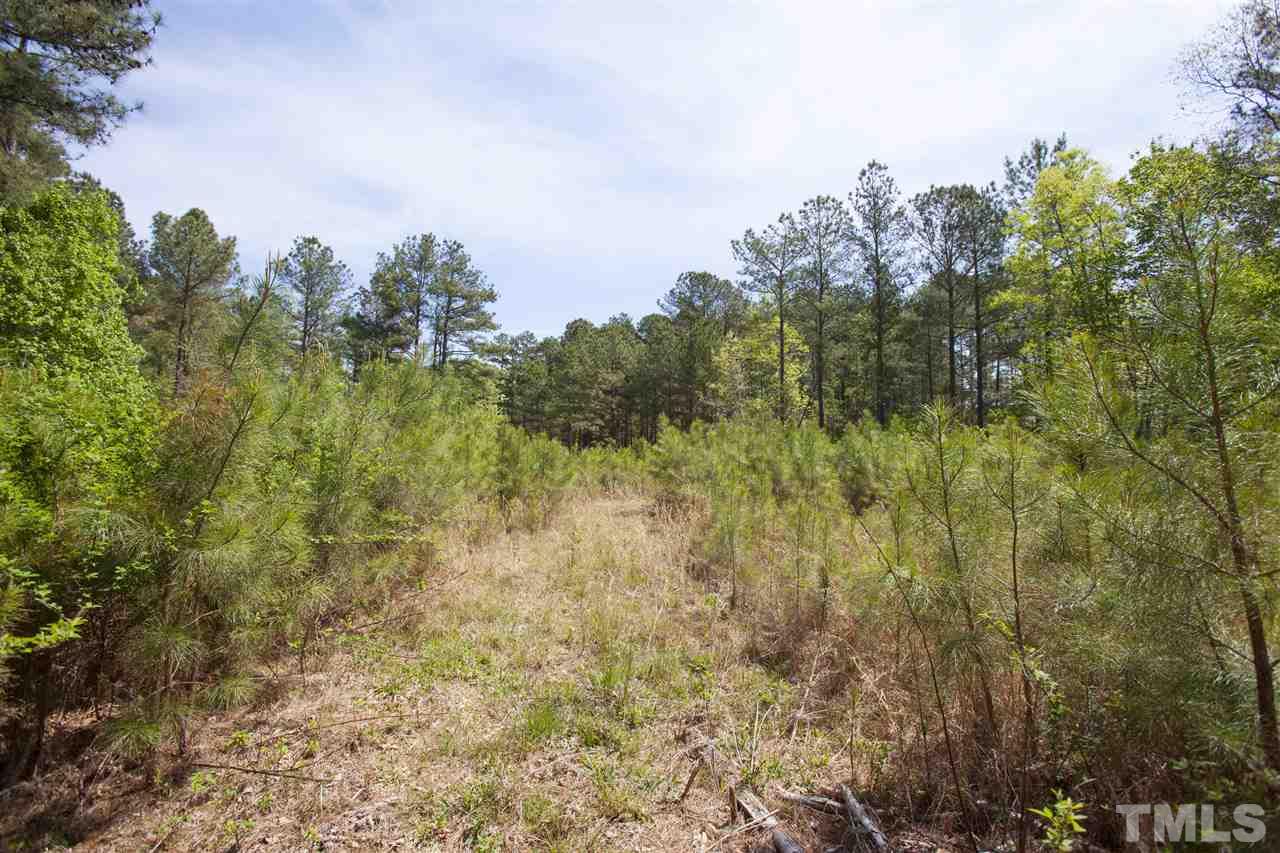 0 Center Grove Church Road Moncure, NC 27559 - Photo 10 of 18 Gallery Image 10