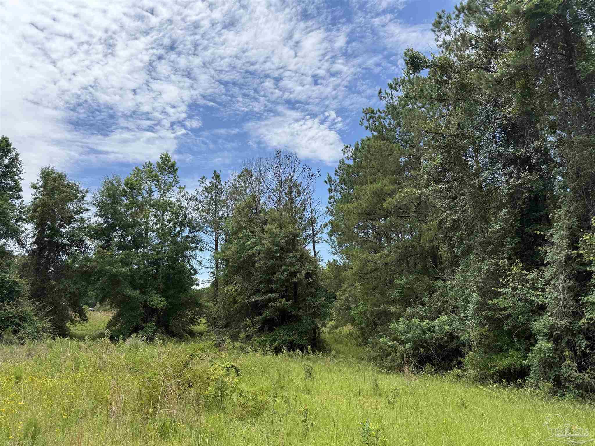 296 Salters Lake Road Century, FL 32535 - Photo 33 of 34